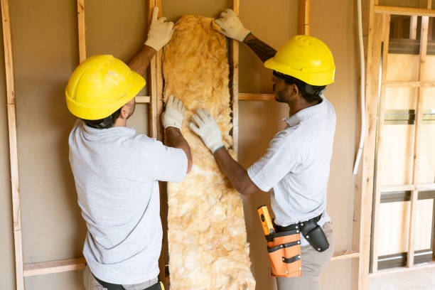 Best Eco-Friendly or Green Insulation Solutions  in Miami Gardens, FL